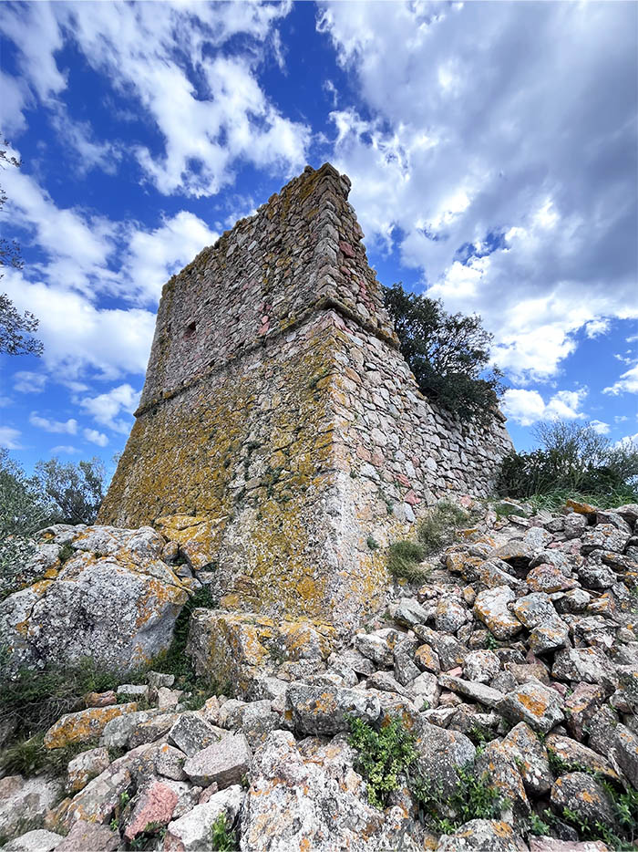 corse san ciprinanu